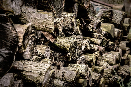 selective focus photo of pile of gray logs thumbnail