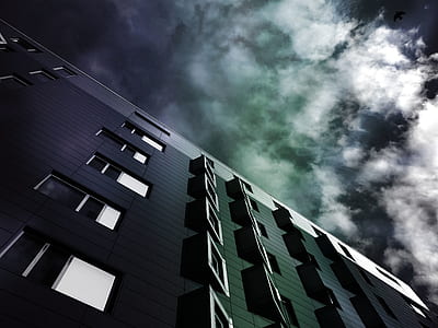 black-and-white, building, architecture, windows thumbnail