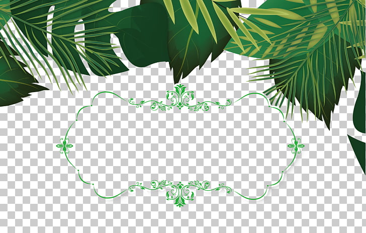 leaf template summer leaves decorative material green leaves png green leaf template