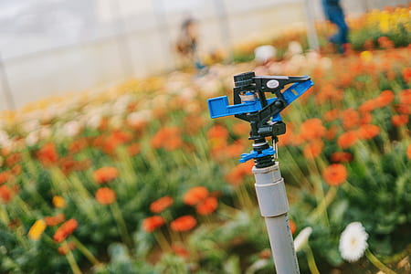 Blue and Gray Garden Sprinkler thumbnail