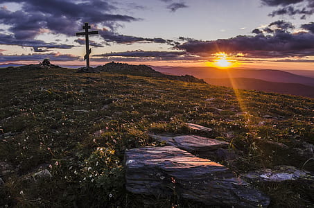 green grass field and sunset thumbnail