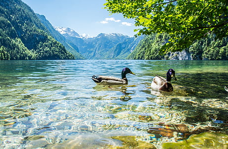 landscape, nature, water, mountain thumbnail