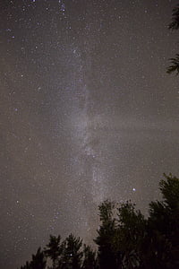 starry night thumbnail