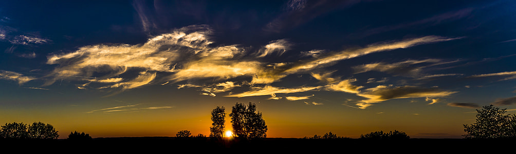 photography of leafed trees under blue and brown sky at golden hour thumbnail