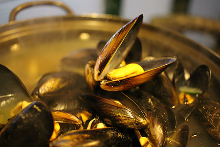 Mussels In Bath, Wall Buch thumbnail