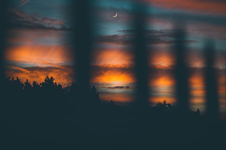 silhouette of tree under clouds thumbnail