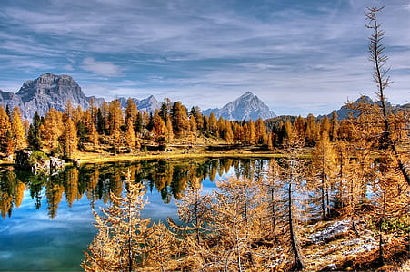 calm body of water surrounded by trees during daytime thumbnail