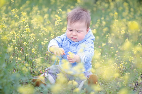 baby in blue shirt lying on flower field thumbnail