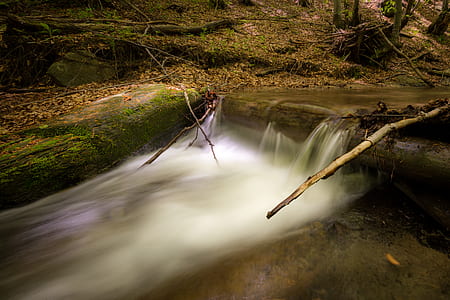 wood, light, landscape, nature thumbnail