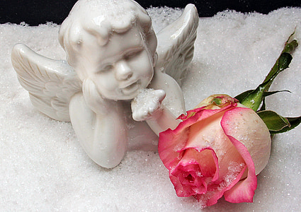 angel, angel figure, rose, snow, christmas, weihnachtsbaumschmuck thumbnail