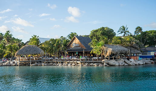 brown wooden buildings surrounded by trees near calm body of water under blue sky and white clouds thumbnail