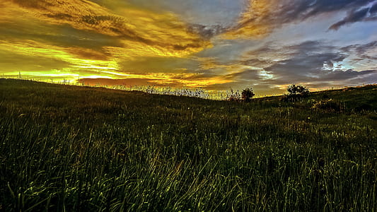 dawn, landscape, nature, sky thumbnail