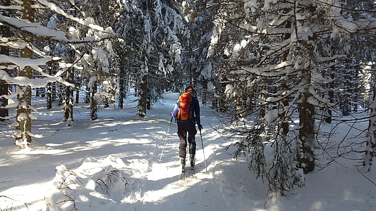 person in between pine trees with snow ground thumbnail