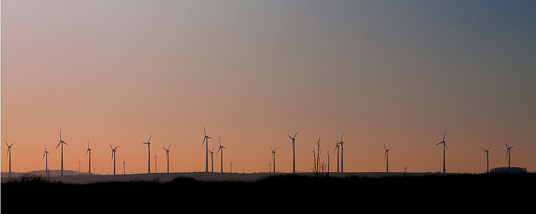 silhouette of windmills during golden hour thumbnail