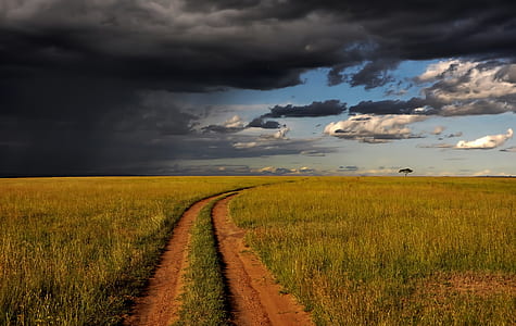 brown pathway between green grass field under blue sky thumbnail