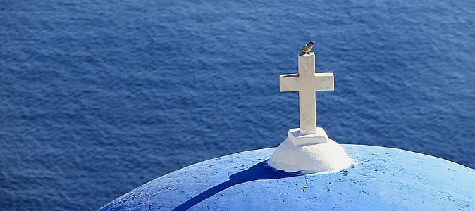 bird perched on white concrete cross thumbnail