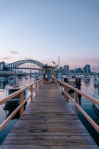 brown wooden pier near boat during daytime thumbnail