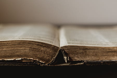 Rustic Old Book Open At Centre Photo thumbnail