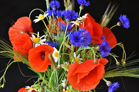 orange, white, and blue flower bouquet thumbnail