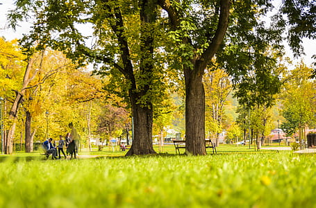 woman standing near tree thumbnail