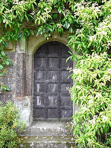 closed black door surrounded by green leaf plants thumbnail
