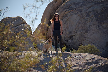 woman standing beside dog on mountain thumbnail