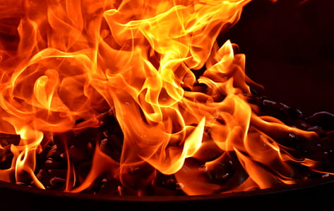 close-up photo of ignited bonfire thumbnail