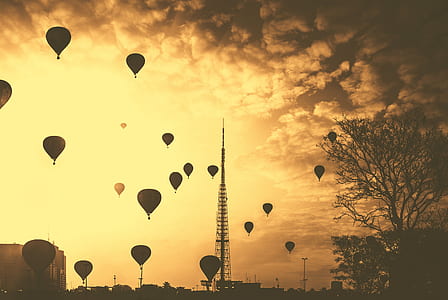 hot air balloons flying on the sky thumbnail