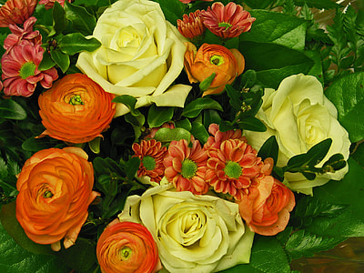 red and white flowers thumbnail