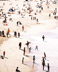 aerial photo of people standing on shore during daytime thumbnail
