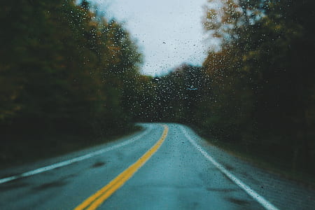 slippery road surrounded with green trees thumbnail