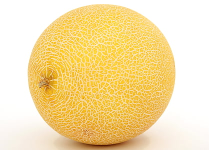 melon fruit thumbnail
