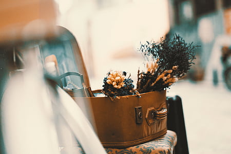 brown and green flowers on brown basket thumbnail