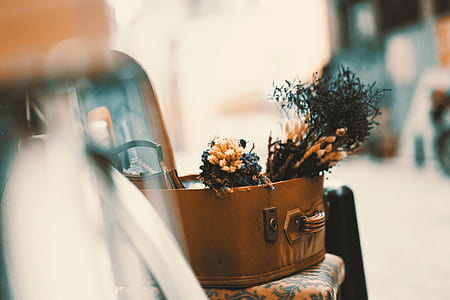 flower in suitcase on top of chair thumbnail