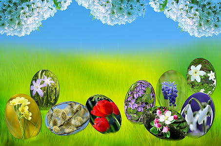 variety of flowers thumbnail