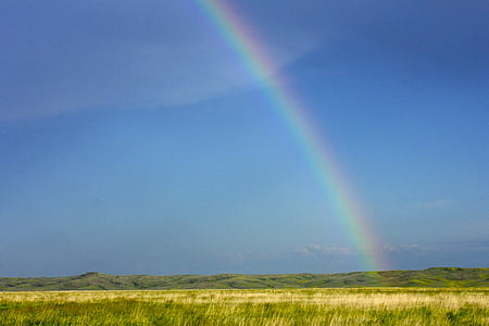 rice field under rainbow thumbnail