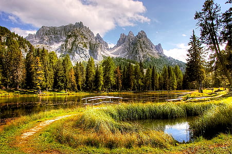 landscape photography of trees and mountain thumbnail