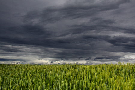 White and Dark Cloud over Green Grass Field thumbnail