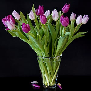 purple and pink flowers with glass vase thumbnail