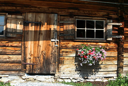 white, red, and pink flowers on brown wooden wall thumbnail