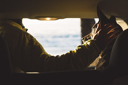 person sitting in car holding dog thumbnail