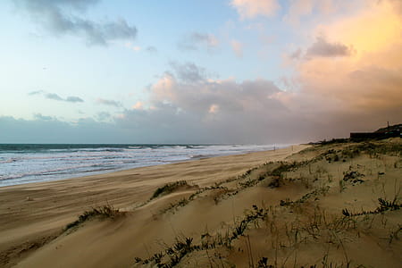 Seashore Under Blue Sky and White Clouds View thumbnail