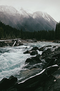 black rocks on body of water thumbnail