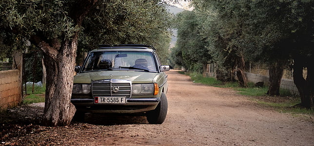 gray car parked beside tree during daytime thumbnail