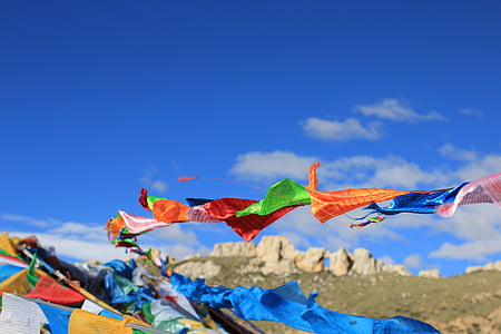 assorted-color kite lot at daytime thumbnail