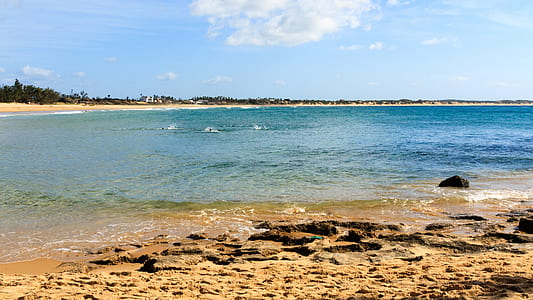 shore at daytime thumbnail