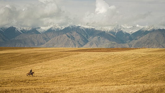 people riding in brown horse on desert thumbnail
