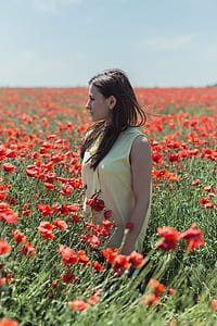 woman standing in red poppy field at daytime thumbnail