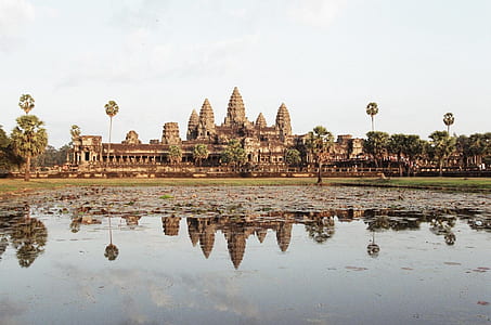 concrete structure near trees and body of water thumbnail