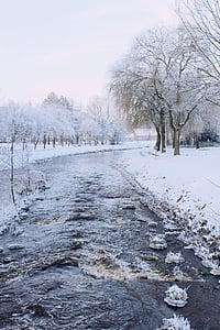 snowy road surrounded by trees thumbnail